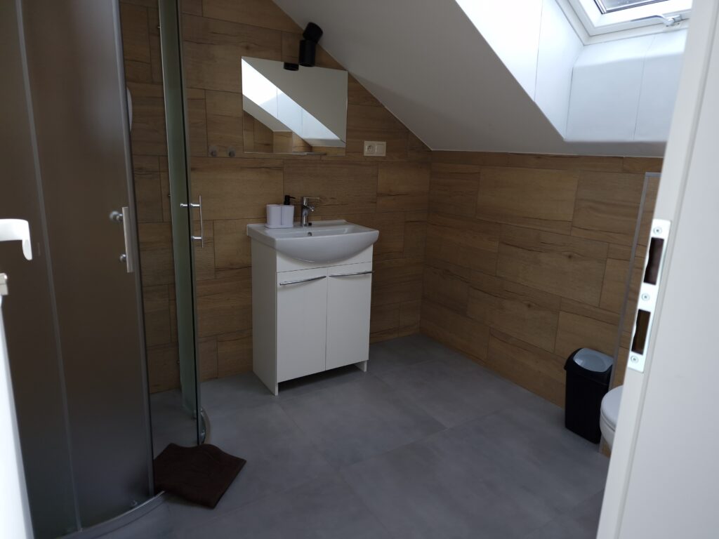 Bathroom with sink, shower and mirror