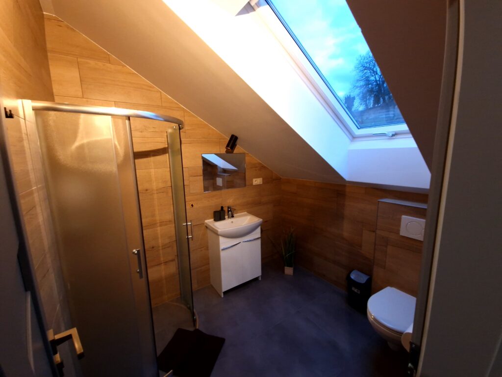 Bathroom with sink, shower and mirror