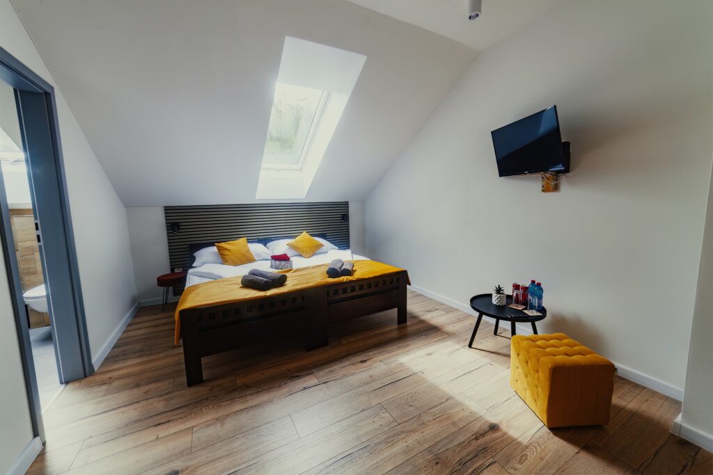 Standard room interior with TV, double bed and roof window