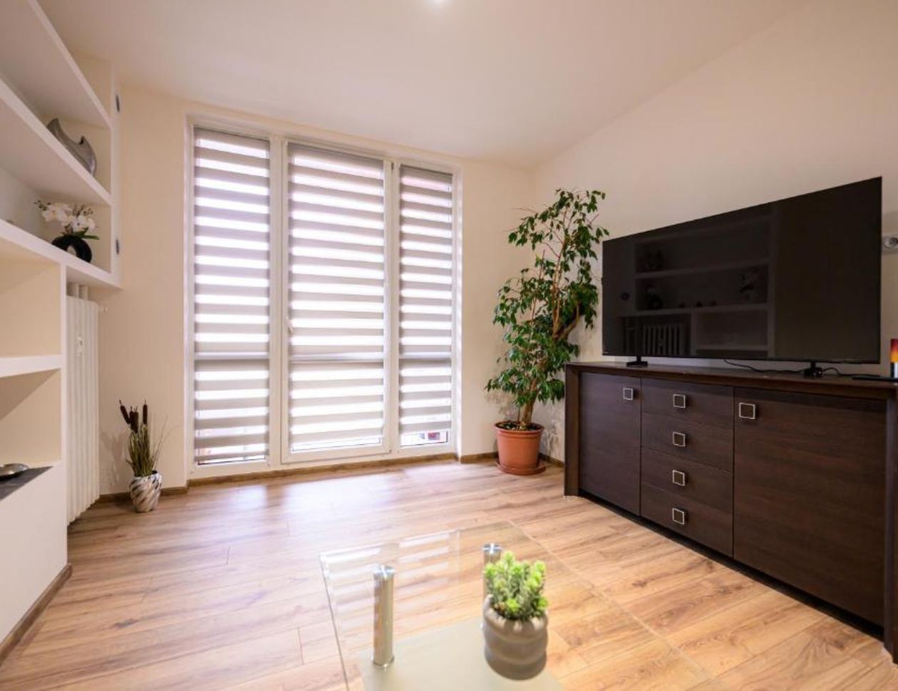 One bedroom apartment